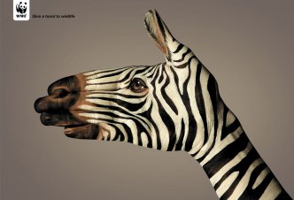WWF Zebra - 2006/10